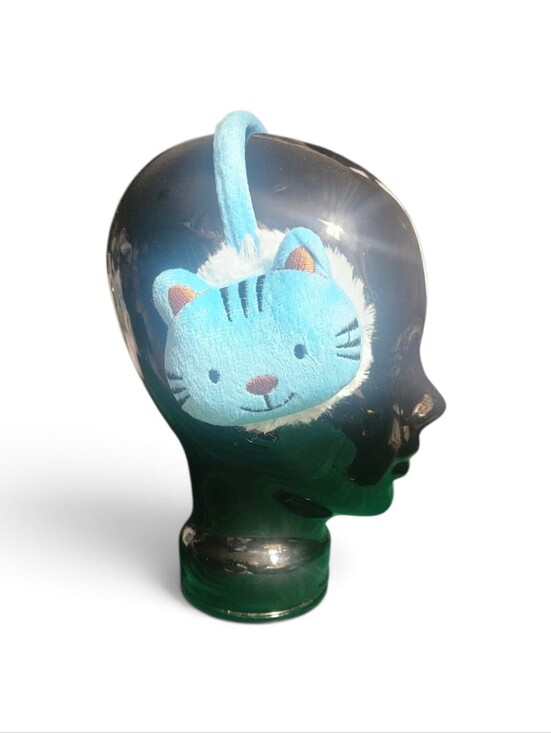 Other - 2/$15 Kid's Ear Muffs Blue